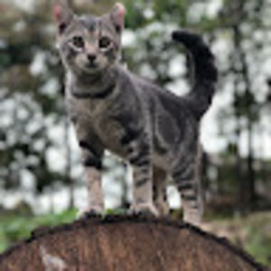 Meet your Posher, Evie